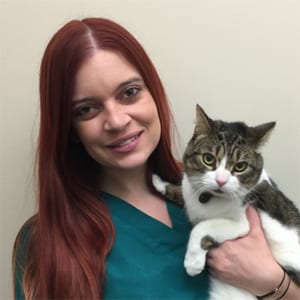 Brittany: Veterinary Staff in Melrose