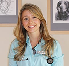 Dr. Sawchyn: Veterinarians in Melrose