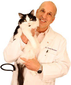 Dr. Silverman holding a cat in Melrose
