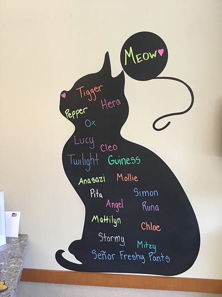 Cat chalkboard