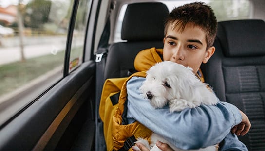 boy-with-dog-in-car